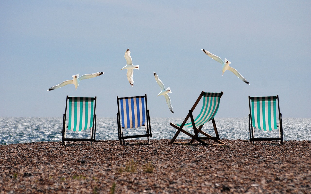 Caffe des Amis Urlaub - Liegestühle am Strand mit fliegenden Möwen im Hintergrund