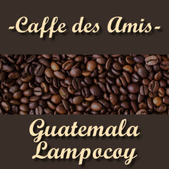 CDA_Kategorie_Guatemala-Lampocoy